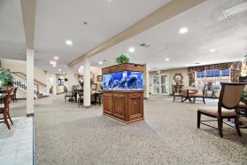 Morada Meadow Lakes - Real Estate Photography Dallas (14)