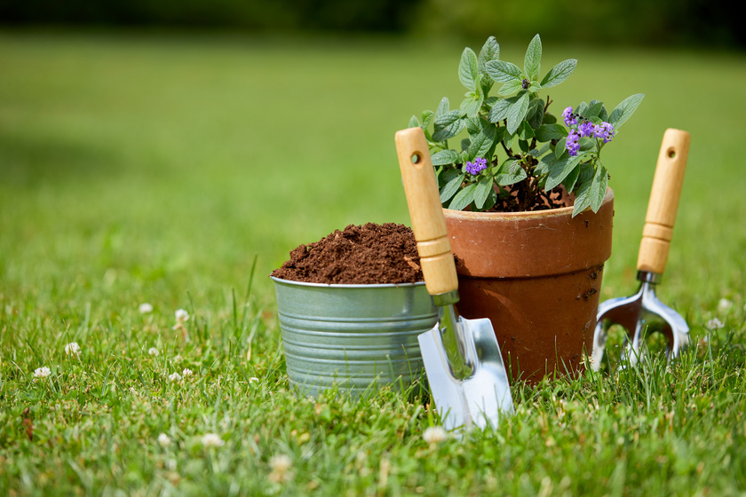 Gardening tools for elderly discount