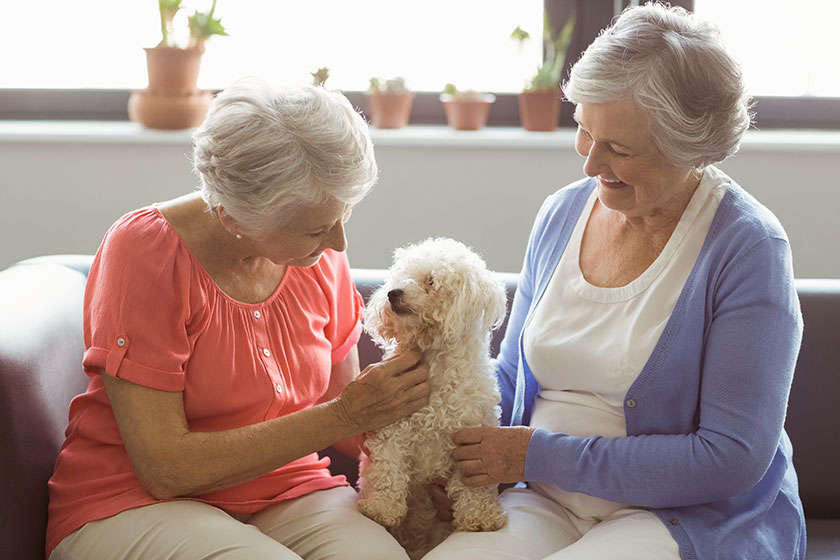 Keeping Your Furry Friend In A PetFriendly Assisted Living In Kingwood