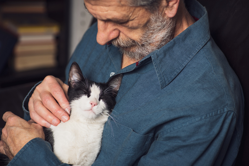 The Best Low Maintenance Pets For Seniors In Watsonville, TX