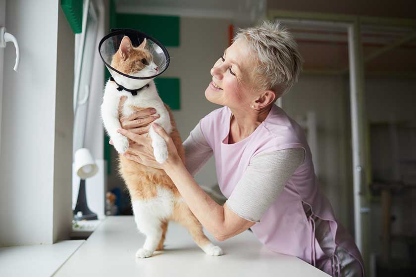The Advantages Of PetFriendly Assisted Living Communities Near